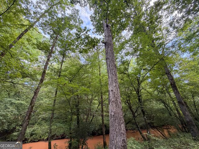 1503 McDonald Road, Covington, GA 30014