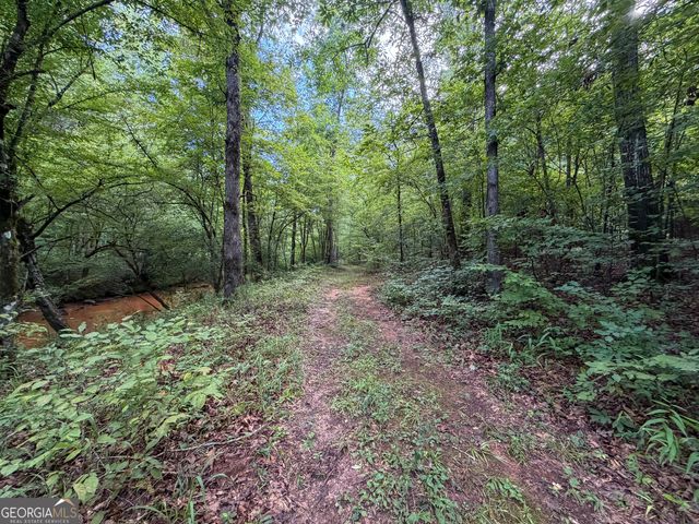 1503 McDonald Road, Covington, GA 30014