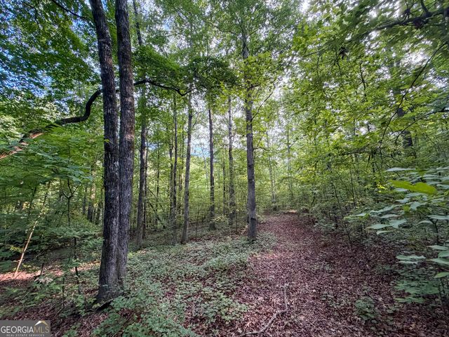 1503 McDonald Road, Covington, GA 30014