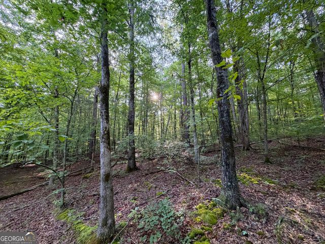 1503 McDonald Road, Covington, GA 30014