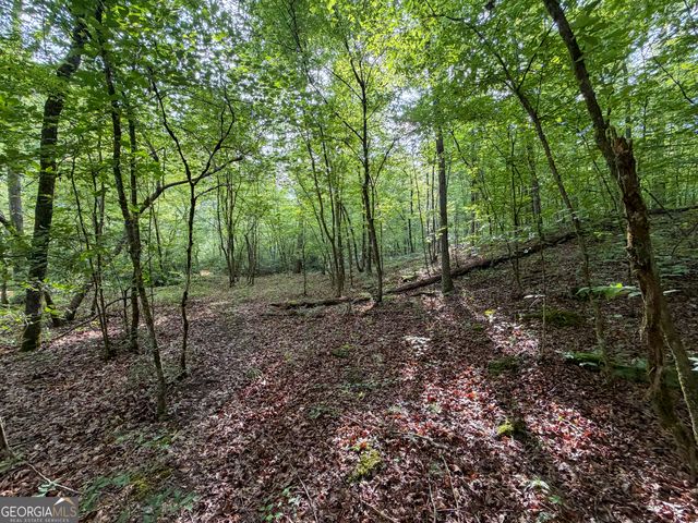 1503 McDonald Road, Covington, GA 30014