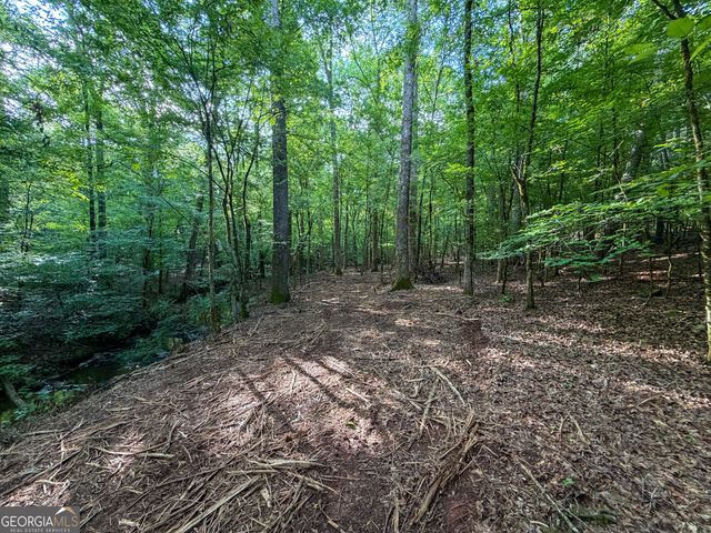 1503 McDonald Road, Covington, GA 30014