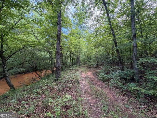 1503 McDonald Road, Covington, GA 30014