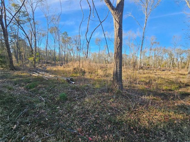 Lot 47 Sherwood Drive, Shepherd, TX 77371