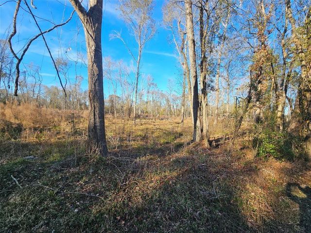 Lot 47 Sherwood Drive, Shepherd, TX 77371