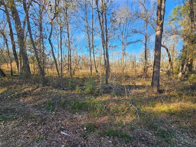 Lot 47 Sherwood Drive, Shepherd, TX 77371