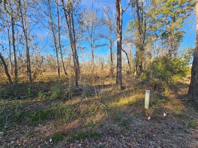 Lot 47 Sherwood Drive, Shepherd, TX 77371