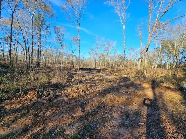 Lot 47 Sherwood Drive, Shepherd, TX 77371