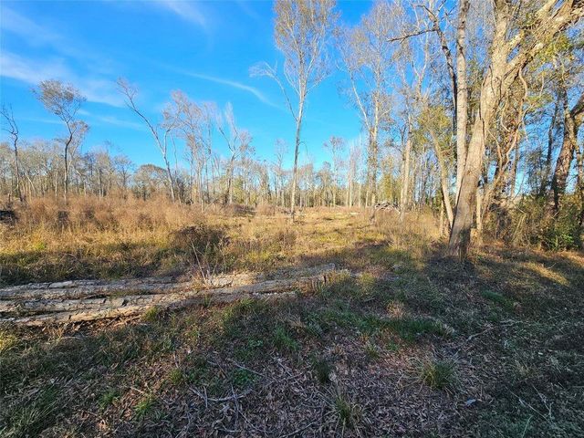 Lot 47 Sherwood Drive, Shepherd, TX 77371
