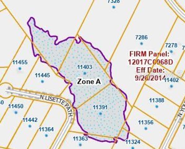 11403 N LISETTE PATH, Dunnellon, FL 34433