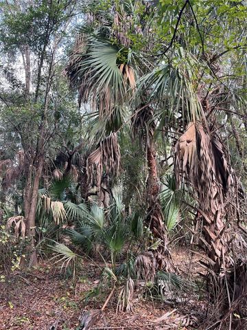 11403 N LISETTE PATH, Dunnellon, FL 34433