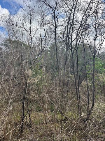 11403 N LISETTE PATH, Dunnellon, FL 34433