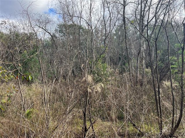 11403 N LISETTE PATH, Dunnellon, FL 34433