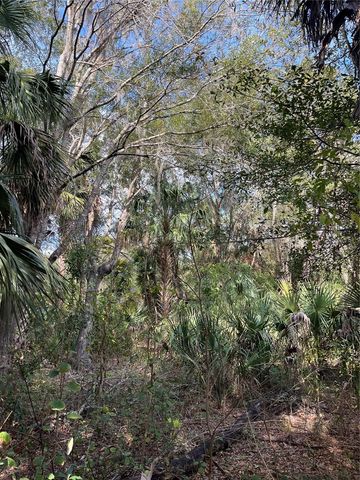 11403 N LISETTE PATH, Dunnellon, FL 34433