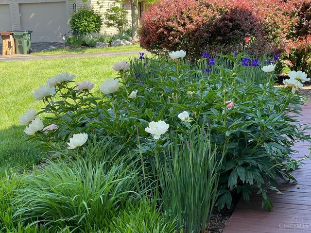 318 Miami Lakes Drive, Milford, OH 45150