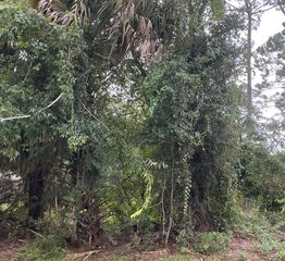 39 WHITTINGTON DRIVE, Palm Coast, FL 32164