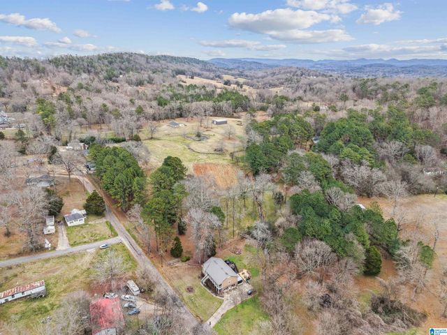 5563 FOTI LANE, Pinson, AL 35215