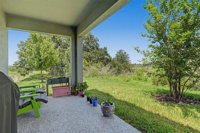 32092 CANNON RUSH DRIVE, San Antonio, FL 33576