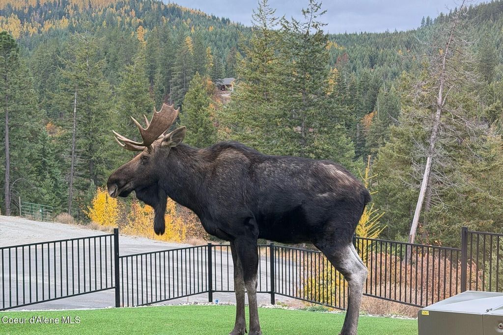 12548 W Vatland Drive, Post Falls, ID 83854 photo 23