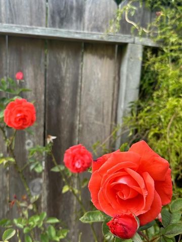 370 Goodwin Drive, San Bruno, CA 94066