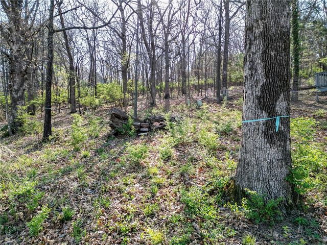 1646 N Forrest Heights, Fayetteville, AR 72703