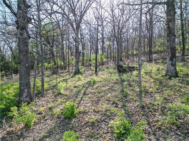 1646 N Forrest Heights, Fayetteville, AR 72703