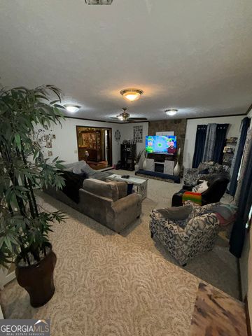 217 Babbs Mill Road, Hampton, GA 30228
