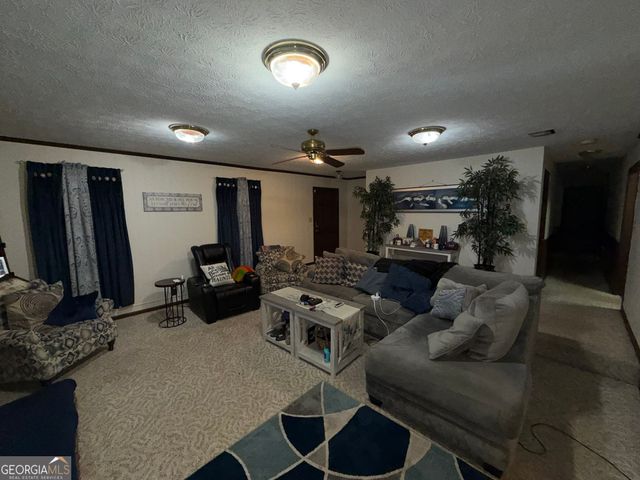 217 Babbs Mill Road, Hampton, GA 30228