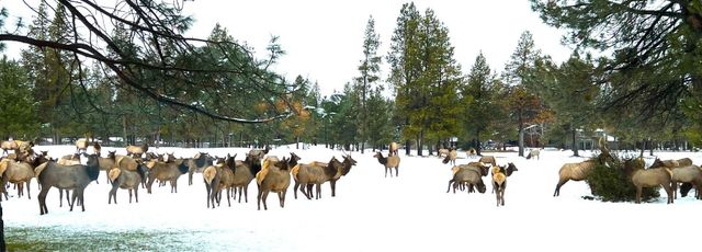 57265 Overlook Road 4, Sunriver, OR 97707