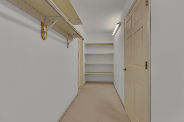 14856 Old Lake Road, Paynesville, MN 56362