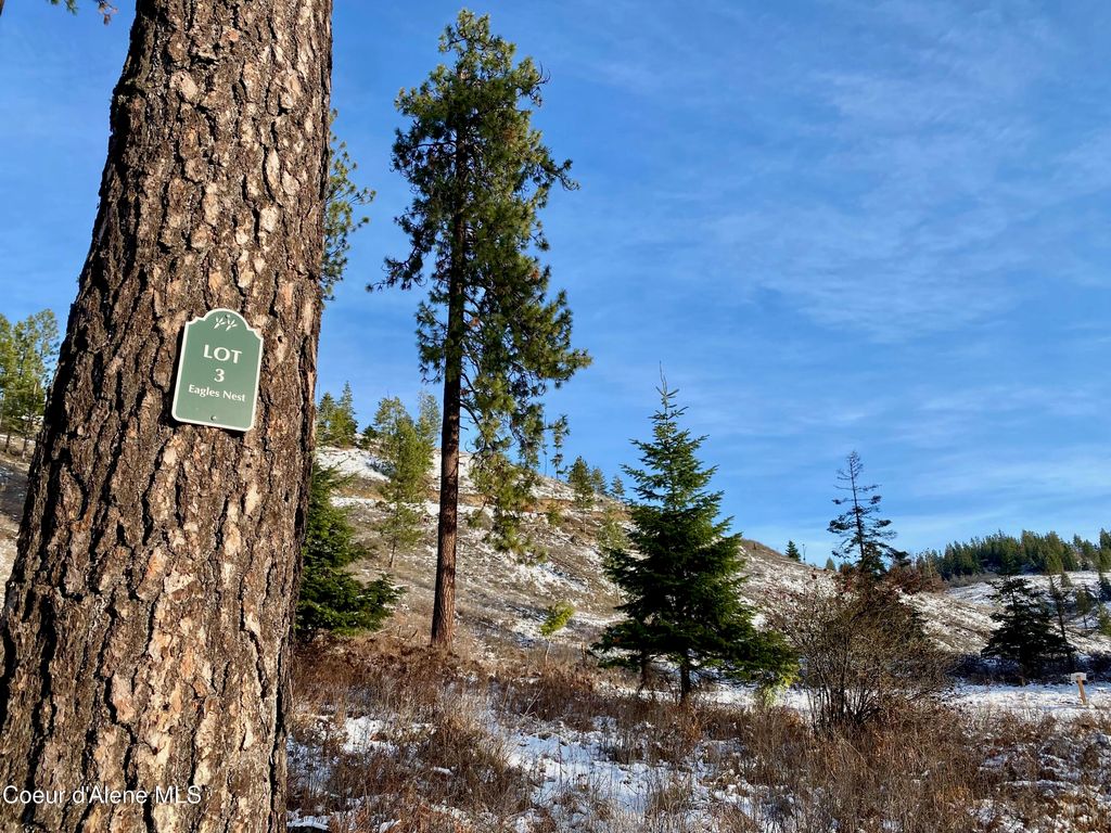 2304 S Blue Creek Lots 1-4, Coeur d'Alene, ID 83814 photo 24