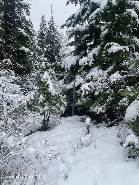 2304 S Blue Creek Lots 1-4, Coeur d'Alene, ID 83814 photo 8