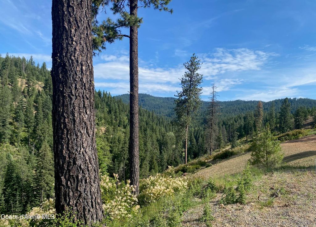 2304 S Blue Creek Lots 1-4, Coeur d'Alene, ID 83814 photo 9