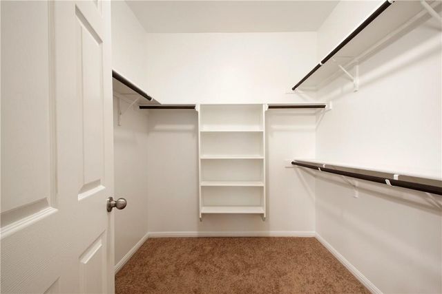 12917 Leatherback LN, Austin, TX 78729
