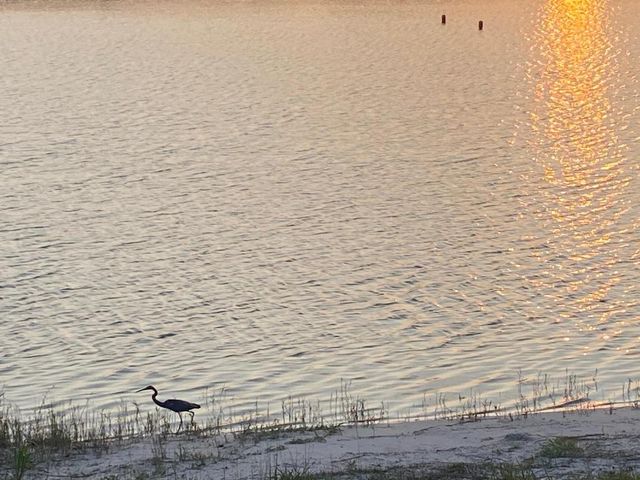 810 Sky Pine Way G2, Greenacres, FL 33415