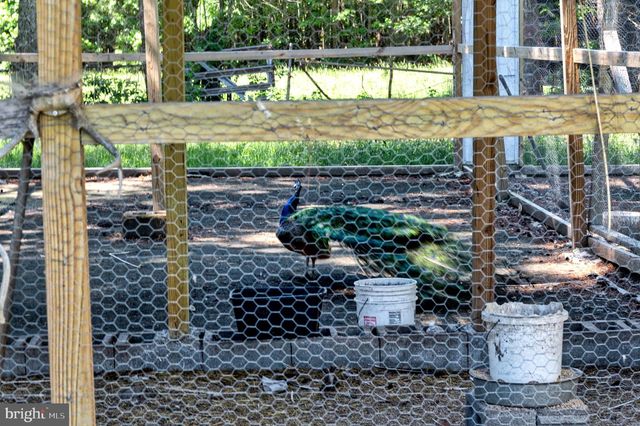 10439 ASHCAKE RD, Ashland, VA 23005