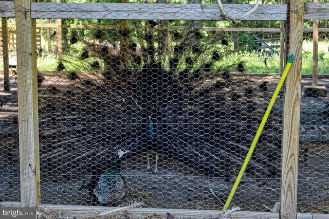 10439 ASHCAKE RD, Ashland, VA 23005