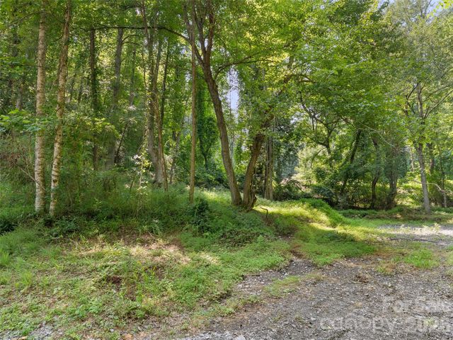 1110 Probart Street 3, Brevard, NC 28712