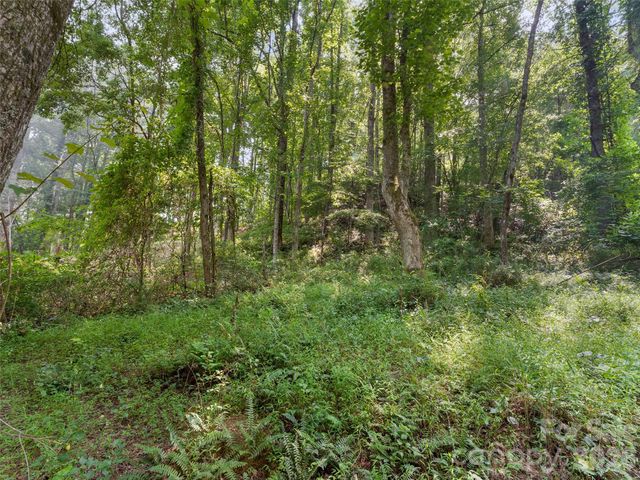 1110 Probart Street 3, Brevard, NC 28712