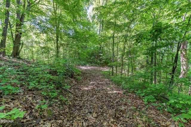 3882 Thomas Cross Road, Sevierville, TN 37876