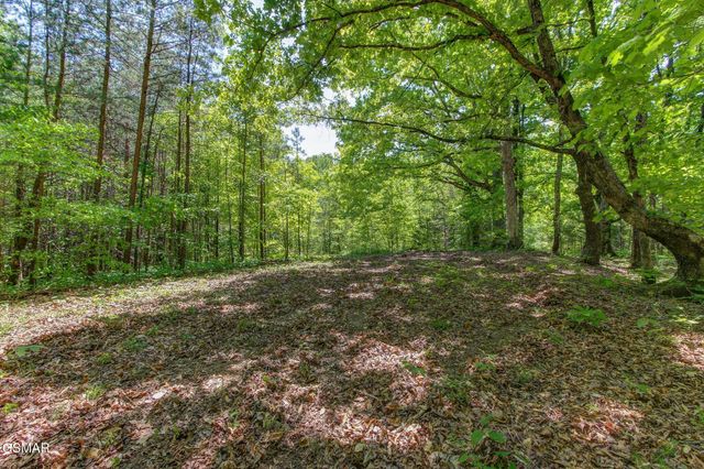 3882 Thomas Cross Road, Sevierville, TN 37876
