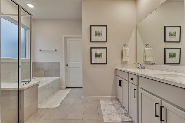 221 Christine Manor, Montgomery, TX 77316