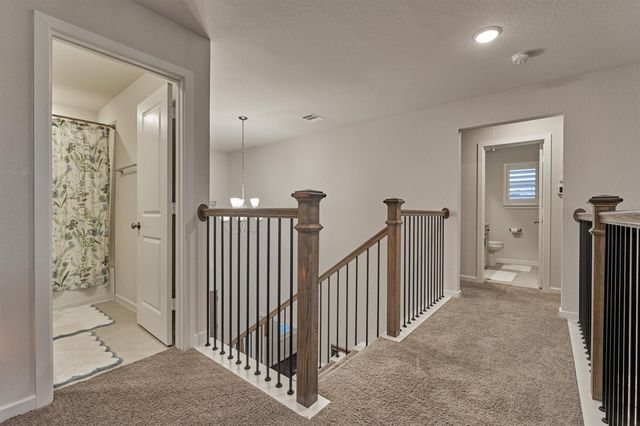 221 Christine Manor, Montgomery, TX 77316