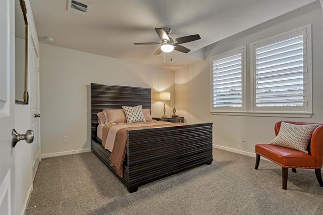 221 Christine Manor, Montgomery, TX 77316