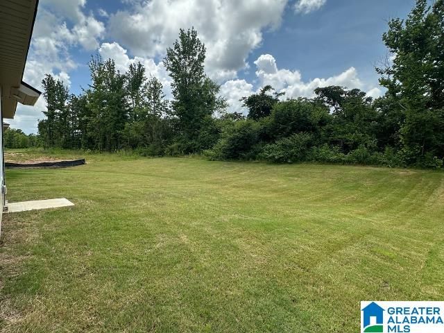 176 DOGWOOD STREET, Childersburg, AL 35044