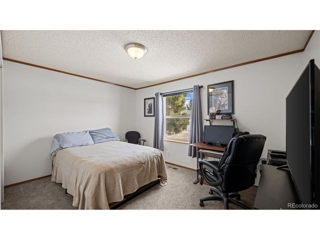 17660 Cleese Ct, Peyton, CO 80831