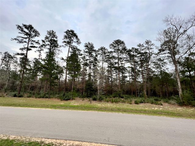 TBD 9 Lily Bean, Montgomery, TX 77316