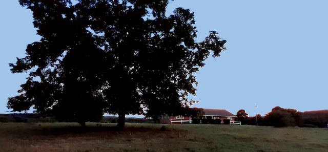 24243 Tiny Chapel, Madill, OK 73446