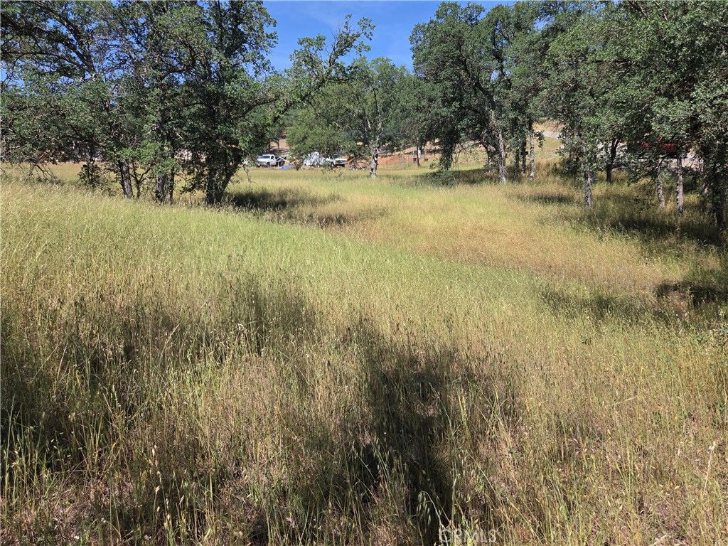 Image 1 of property listing at 17087 LARAMIE, Corning, CA 96021
