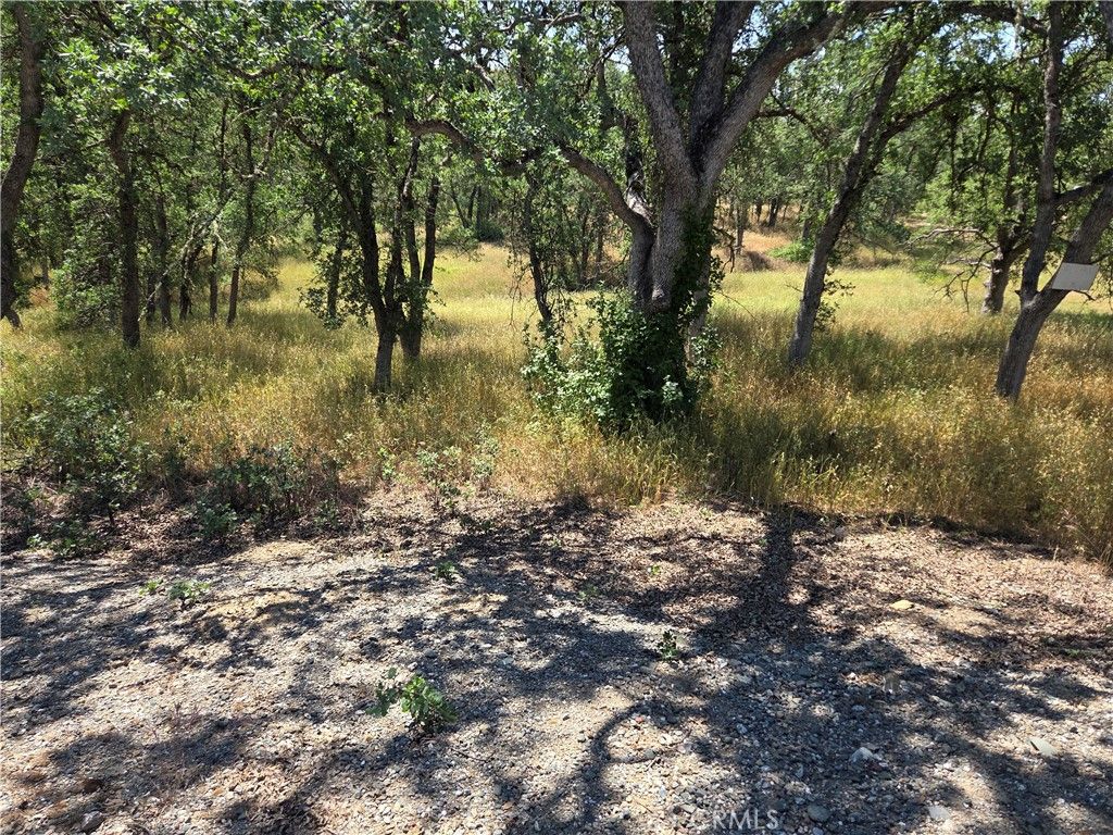 Image 3 of property listing at 17087 LARAMIE, Corning, CA 96021